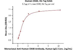 Immobilized Human OX40, His Tag (ABIN2181572,ABIN2181571) at 2 μg/mL (100 μL/well) can bind Monoclonal A OX40 Antibody, Human IgG1  with a linear range of 0.