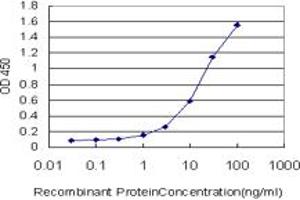 Image no. 1 for anti-Dermatan Sulfate Epimerase (DSE) (AA 574-673) antibody (ABIN565439)