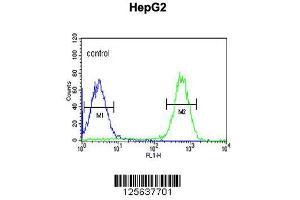 Image no. 1 for anti-Tescalcin (TESC) (AA 88-116), (C-Term) antibody (ABIN651329)