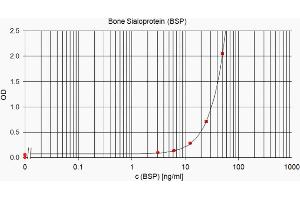 Image no. 3 for anti-Bone Sialoprotein (BSP) antibody (ABIN109798)