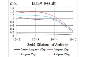 Image no. 5 for anti-Hexosaminidase A (HEXA) antibody (ABIN1846273)