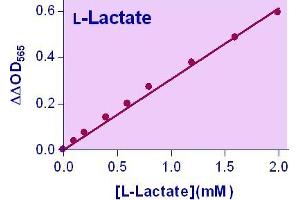 Biochemical Assay (BCA) image for Lactate Assay Kit (ABIN1000300)