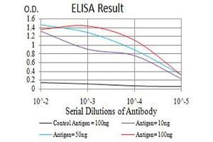 Image no. 1 for anti-Aurora Kinase A (AURKA) (AA 268-404) antibody (ABIN5611121)