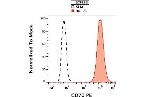Image no. 1 for anti-CD70 Molecule (CD70) antibody (PE) (ABIN2749173)