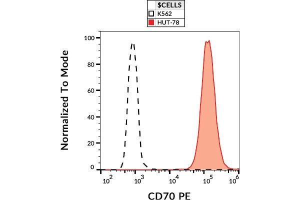 CD70 antibody  (PE)