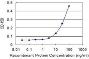 PRM1 antibody  (AA 1-51)