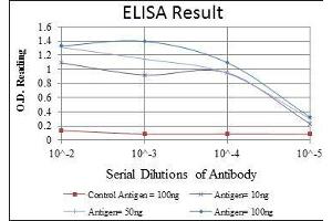 Image no. 4 for anti-Eukaryotic Translation Elongation Factor 2 (EEF2) antibody (ABIN969090)