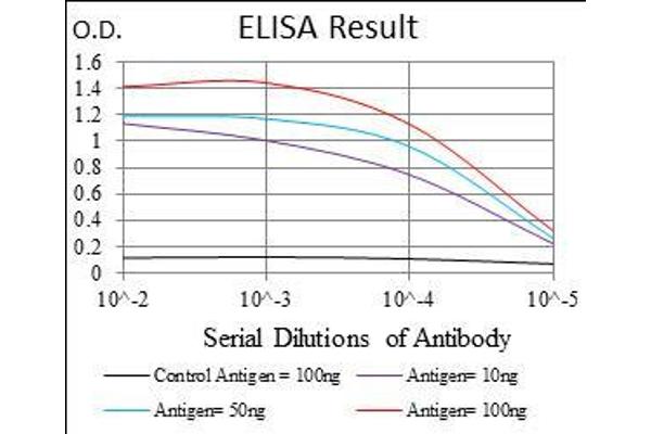 anti-Pleiomorphic Adenoma Gene-Like 1 (PLAGL1) (AA 118-222) antibody