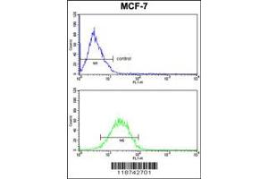 Flow Cytometry (FACS) image for anti-Casein alpha S1 (CSN1S1) antibody (ABIN2158385)