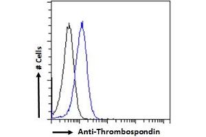 Image no. 2 for anti-Thrombospondin 1 (THBS1) (N-Term) antibody (ABIN1781811)