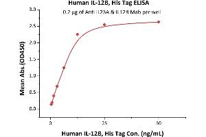 Immobilized Anti IL23A & IL12B MAb at 2 μg/mL (100 μL/well) can bind Human IL-12B, His Tag (ABIN2181334,ABIN3071755,ABIN6810016) with a linear range of 0.