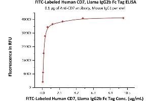 Image no. 1 for CD7 (CD7) (AA 26-180) (Active) protein (lFc Tag,FITC) (ABIN6973017)