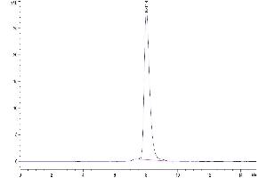 The purity of Biotinylated Mouse OX40 is greater than 95 % as determined by SEC-HPLC.