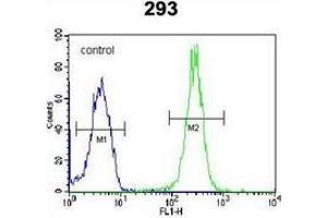 anti-Leucine Rich Repeat Containing 57 (LRRC57) (AA 205-235), (C-Term) antibody