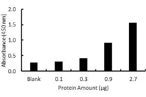 Transcription factor assay of PPAR-delta from purified recombinate PPAR-delta protein with PPAR-delta TF Activity Assay Kit.