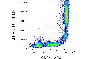 Surface staining of human peripheral blood using anti-CD361 antibody (MEM-216) APC.