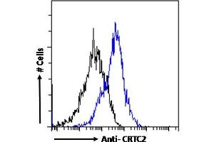 Image no. 1 for anti-CREB Regulated Transcription Coactivator 2 (CRTC2) (C-Term) antibody (ABIN5539499)