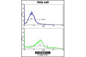 Flow Cytometry (FACS) image for anti-Chloride Channel, Nucleotide-Sensitive, 1A (CLNS1A) antibody (ABIN2158281)