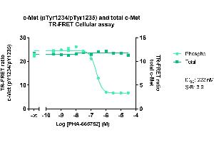 Image no. 4 for Phospho-Met (Y1234/1235) and Total MET TR-FRET Cellular Assay Kit (ABIN6939009)