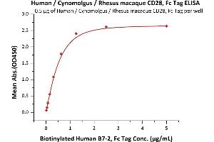 Image no. 1 for CD28 (CD28) (AA 19-152) protein (Fc Tag) (ABIN6253537)