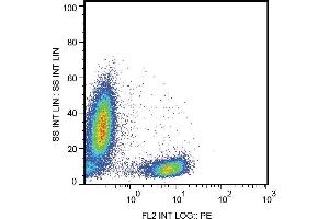Image no. 1 for anti-CD28 (CD28) antibody (PerCP) (ABIN457388)