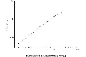 Image no. 2 for Nuclear Factor Related To KappaB Binding Protein (NFRKB) ELISA Kit (ABIN1116220)