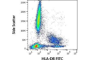 Flow cytometry surface staining pattern of human peripheral whole blood stained using anti-human HLA-DR (MEM-12) FITC (20 μL reagent / 100 μL of peripheral whole blood).