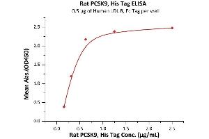 Immobilized Human LDL R, Fc Tag (ABIN4949128,ABIN4949129) at 5 μg/mL (100 μL/well) can bind Rat PCSK9, His Tag (ABIN2181592,ABIN2181591) with a linear range of 0.