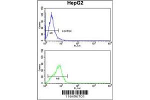 Flow Cytometry (FACS) image for anti-Cytochrome P450, Family 4, Subfamily F, Polypeptide 3 (CYP4F3) antibody (ABIN2158464)