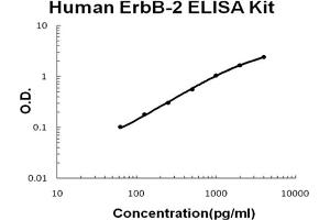 Image no. 1 for Receptor tyrosine-protein kinase erbB-2 (ErbB2/Her2) ELISA Kit (ABIN6720274)