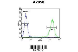 Image no. 2 for anti-Parathymosin (PTMS) (AA 57-85), (C-Term) antibody (ABIN653227)
