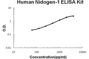 Image no. 1 for Nidogen 1 (NID1) ELISA Kit (ABIN1889326)