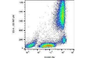 Flow cytometry analysis (surface staining) of human peripheral blood using anti-CD361 antibody (MEM-216) PE.