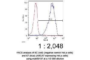 Image no. 2 for anti-ATP-Binding Cassette, Sub-Family A (ABC1), Member 7 (ABCA7) antibody (ABIN363291)