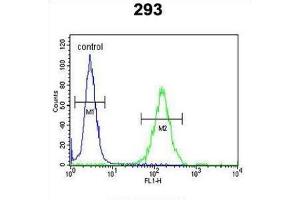 Image no. 1 for anti-DAZ Interacting Protein 1 (DZIP1) antibody (ABIN3003968)