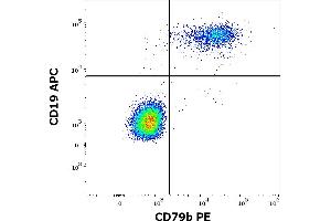 Image no. 1 for anti-CD79b Molecule, Immunoglobulin-Associated beta (CD79B) antibody (PE) (ABIN1027696)