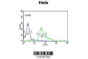 Image no. 3 for anti-S100 Calcium Binding Protein A6 (S100A6) (AA 37-67), (C-Term) antibody (ABIN391522)