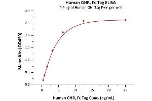 Immobilized Human GH, Tag Free at 2 μg/mL (100 μL/well) can bind Human GHR, Fc Tag (ABIN2181157,ABIN2181156) with a linear range of 0.