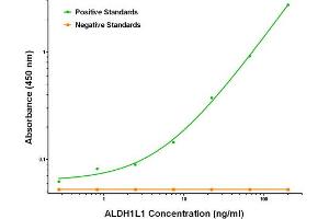 Image no. 1 for anti-Aldehyde Dehydrogenase 1 Family, Member L1 (ALDH1L1) antibody (ABIN2715903)