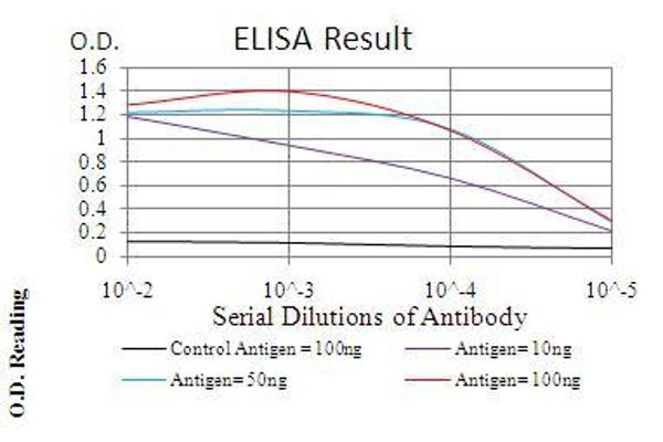 anti-Ezrin (EZR) (AA 292-464) antibody