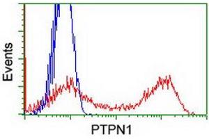 Image no. 6 for anti-Protein tyrosine Phosphatase, Non-Receptor Type 1 (PTPN1) antibody (ABIN1500496)