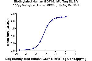 ELISA image for Growth Differentiation Factor 15 (GDF15) protein (Fc Tag,Biotin) (ABIN7274726)