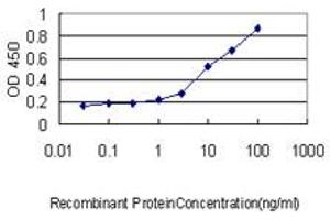 Detection limit for recombinant GST tagged MGC3207 is approximately 0.