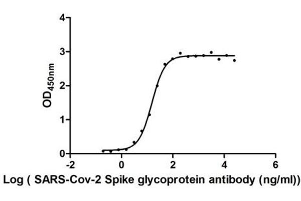 SARS-CoV-2 Spike S1 Protein (RBD) (His tag,MYC tag)