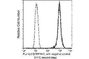 Image no. 1 for anti-serpin Peptidase Inhibitor, Clade I (Pancpin), Member 2 (SERPINI2) (AA 1-405) antibody (ABIN1997951)