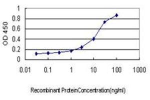 Detection limit for recombinant GST tagged USP48 is approximately 0.