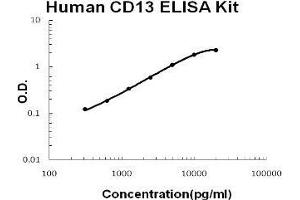 CD13 ELISA Kit