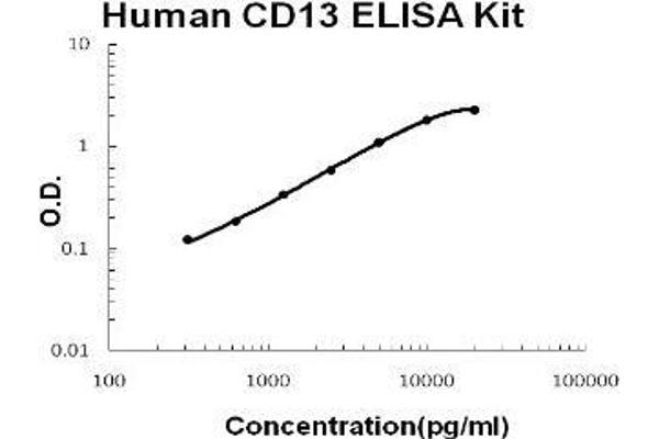 CD13 ELISA Kit