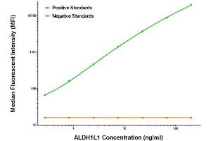 Image no. 3 for anti-Aldehyde Dehydrogenase 1 Family, Member L1 (ALDH1L1) antibody (ABIN2715903)