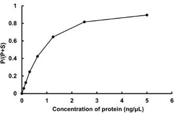NIM1 Protein (AA 1-436) (GST tag)